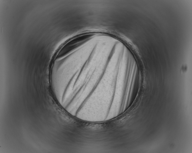 X0000088891174200707061425
