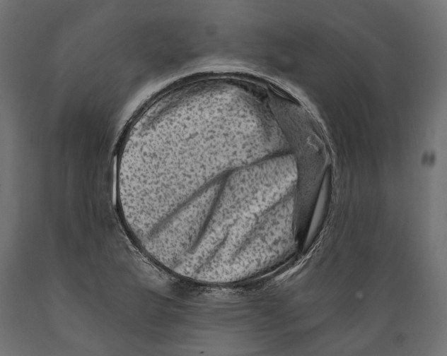 X0000088891175200707061425