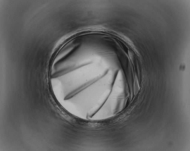 X0000088891176200707061425