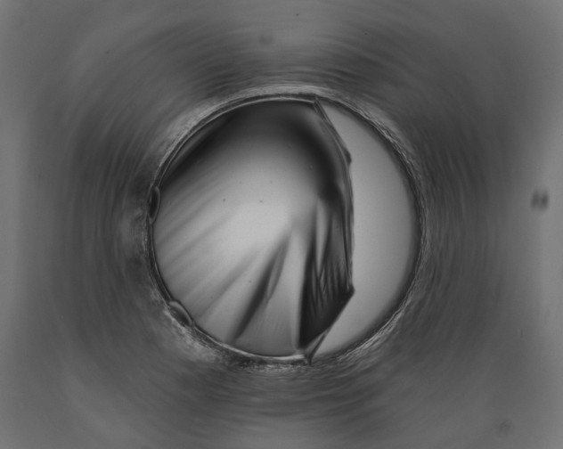 X0000088891177200707061425