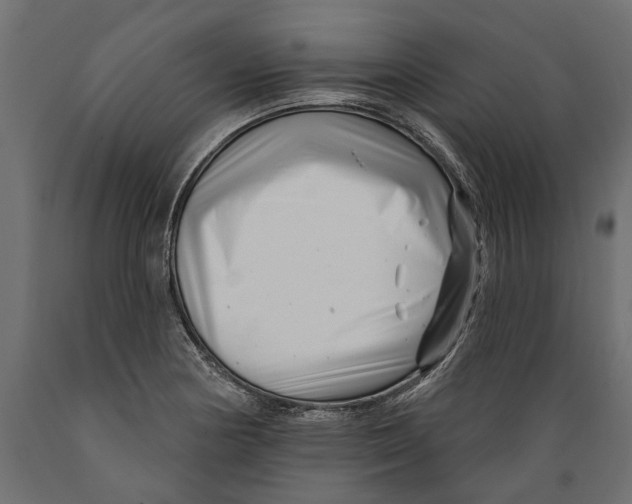X0000088891178200707061425