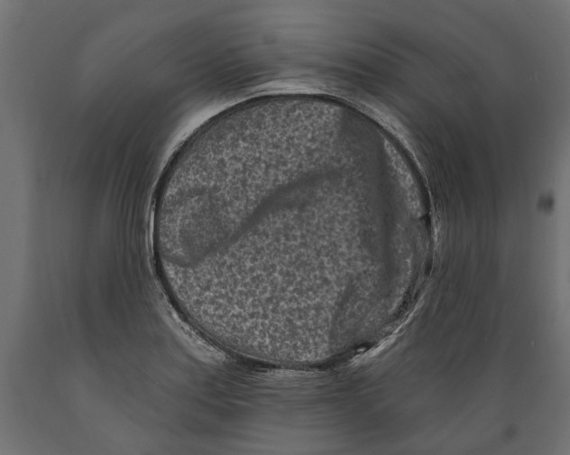 X0000088891179200707061425