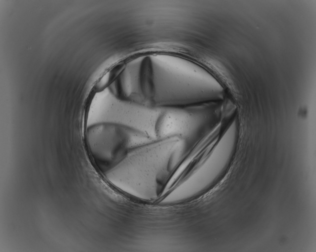 X0000088891180200707061425