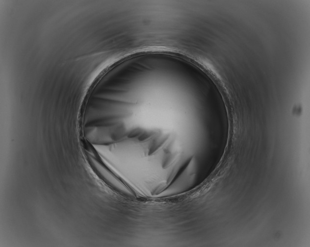 X0000088891181200707061425