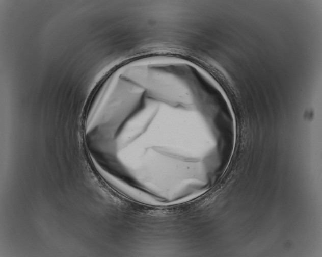 X0000088891182200707061425