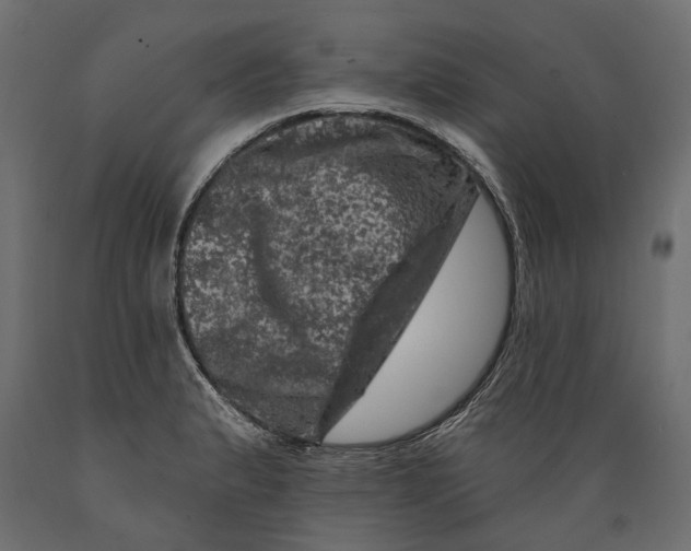 X0000088891183200707061425
