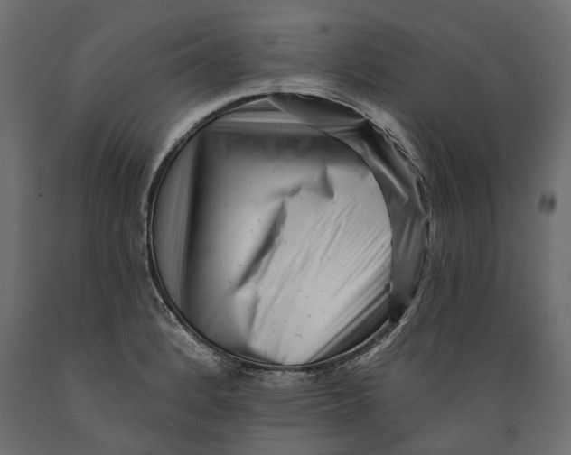X0000088891184200707061425