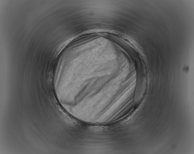 X0000088891185200707061425