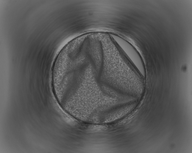 X0000088891187200707061425