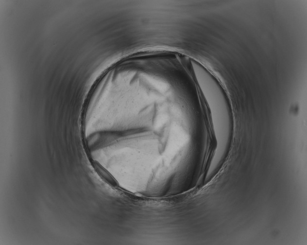 X0000088891189200707061425
