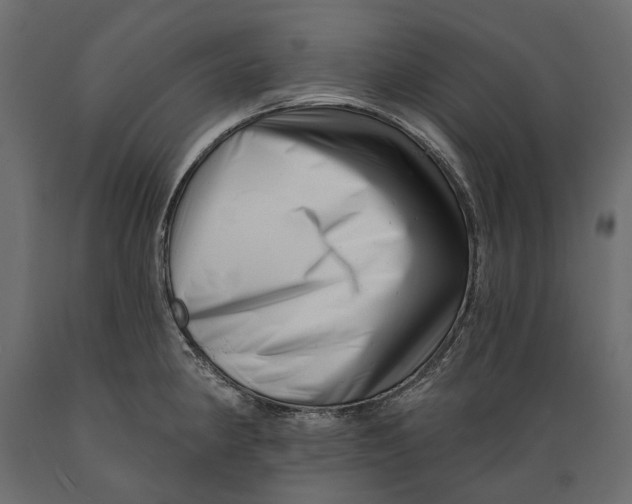 X0000088891190200707061425
