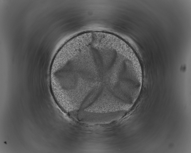 X0000088891191200707061425