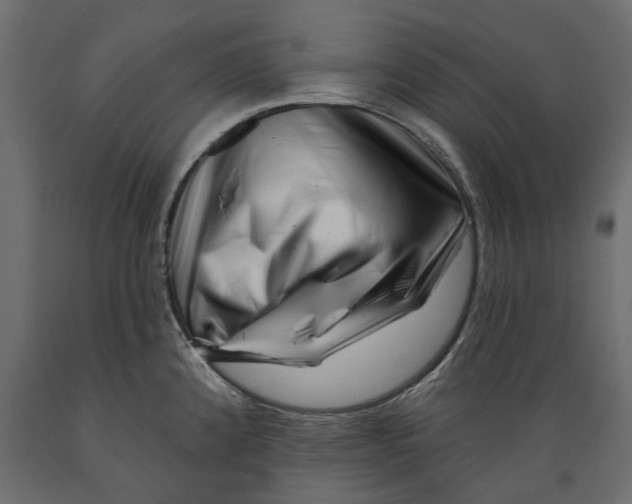 X0000088891192200707061425