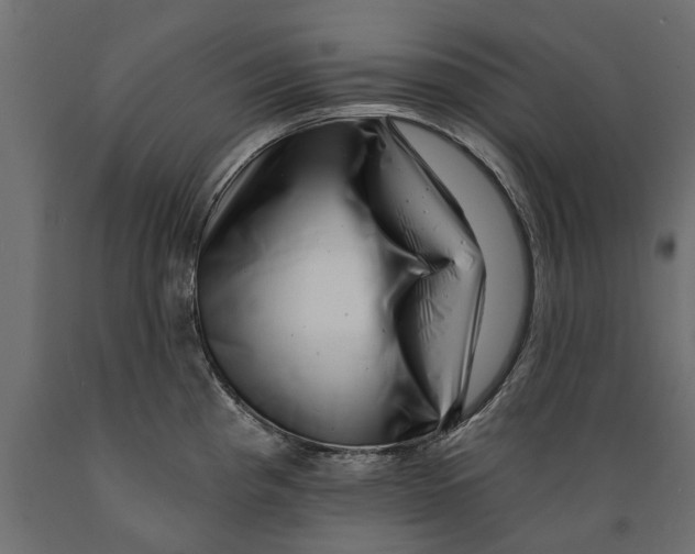 X0000088891193200707061425
