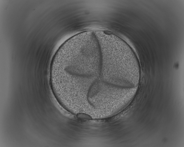 X0000088891195200707061425