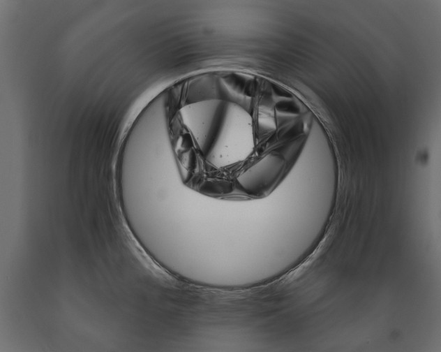 X0000088891196200707061425