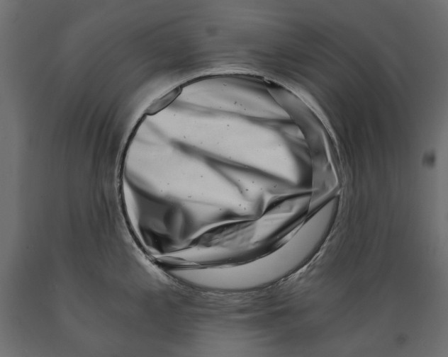 X0000088891197200707061425