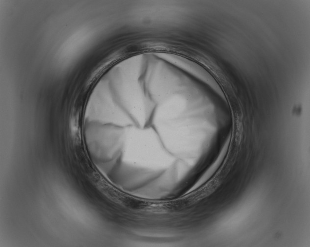 X0000088891198200707061425