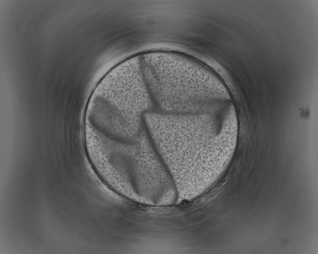 X0000088891199200707061425