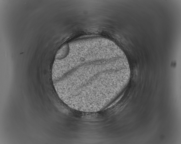 X0000088891201200707061424