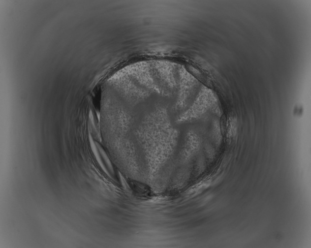 X0000088891202200707061424