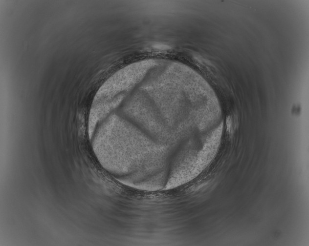 X0000088891203200707061424