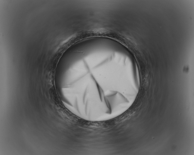 X0000088891205200707061424