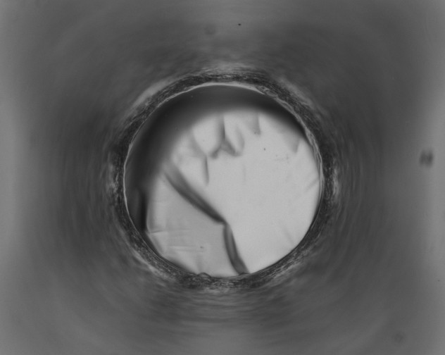 X0000088891206200707061424