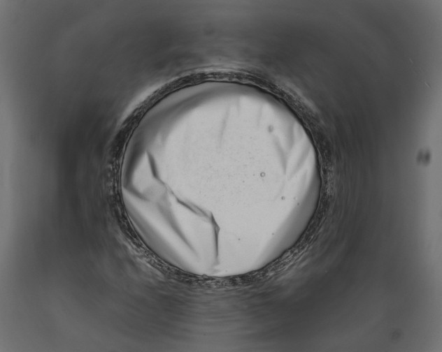 X0000088891208200707061424