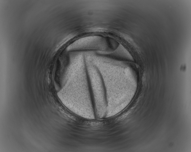 X0000088891209200707061424