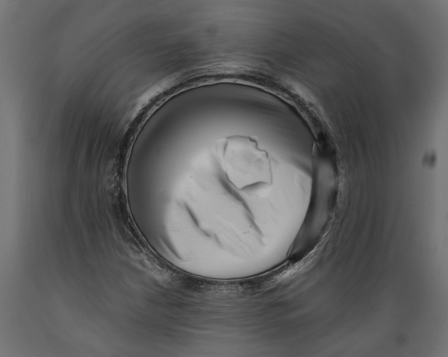 X0000088891210200707061425