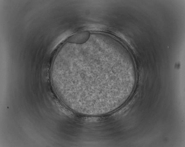 X0000088891211200707061425