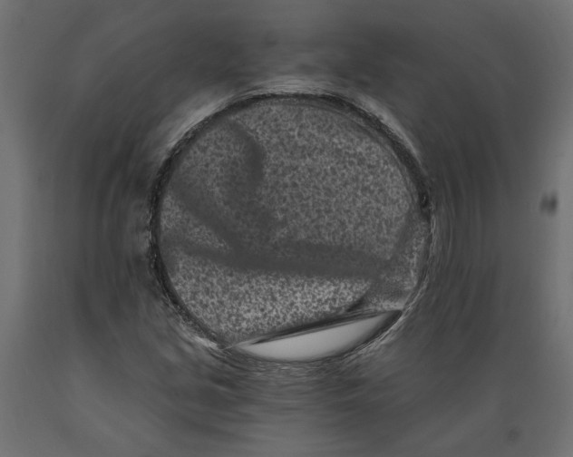 X0000088891213200707061425