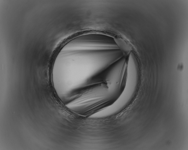X0000088891214200707061425