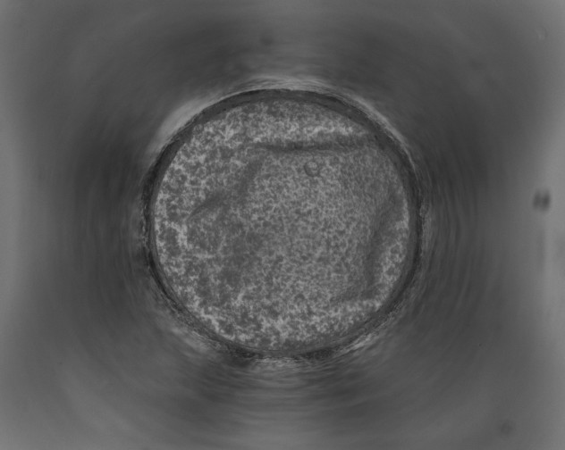 X0000088891215200707061425