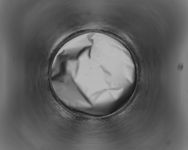 X0000088891216200707061425