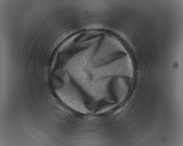 X0000088891217200707061425