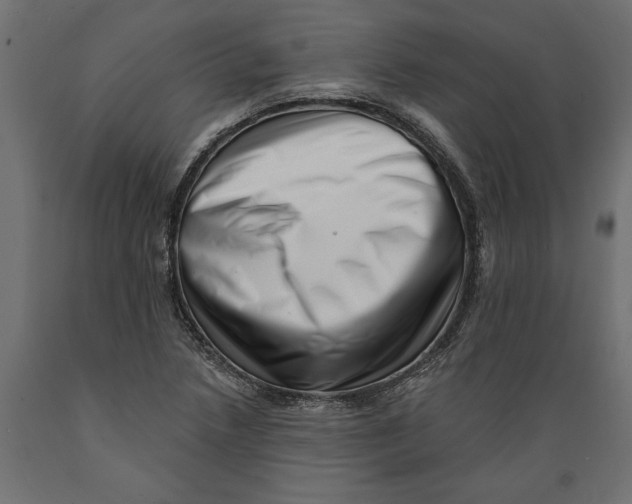X0000088891218200707061425