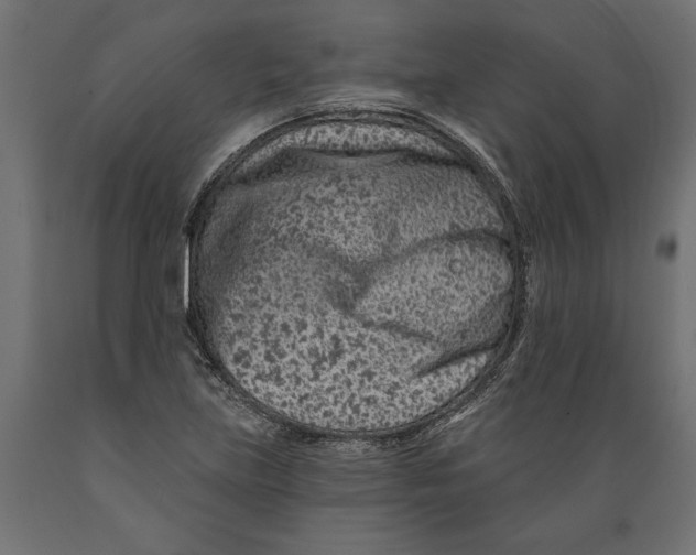 X0000088891219200707061425