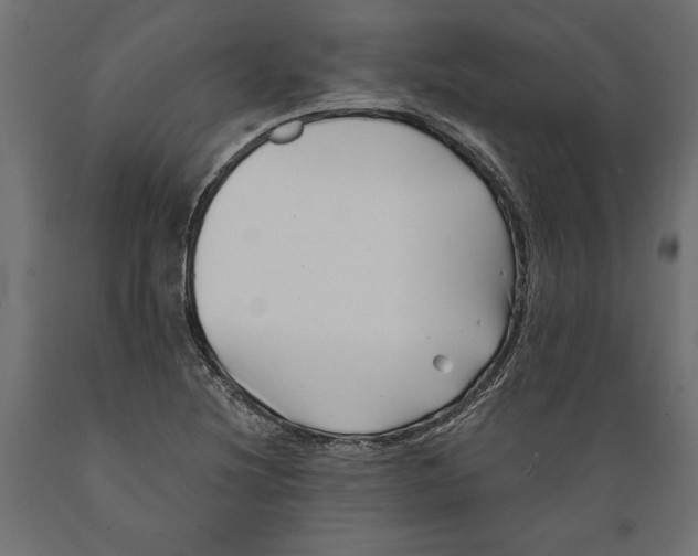 X0000088891220200707061425