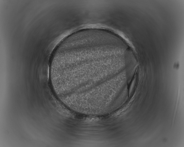 X0000088891221200707061425