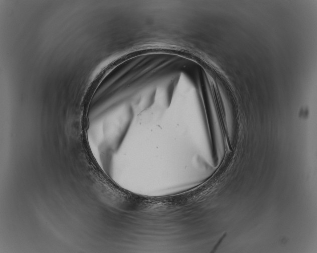 X0000088891222200707061425