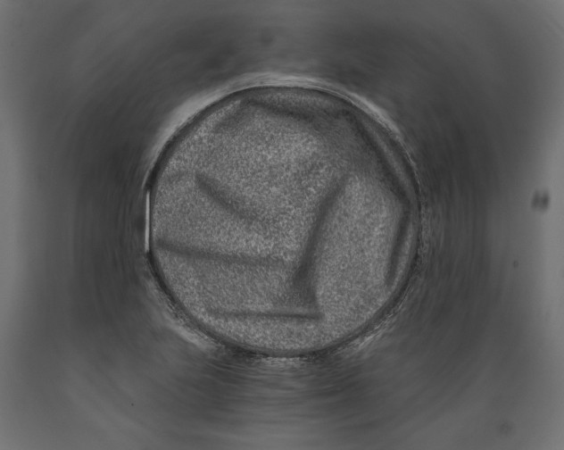 X0000088891223200707061425
