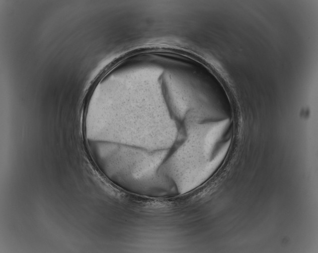 X0000088891224200707061425
