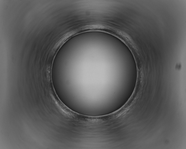 X0000088891225200707061425