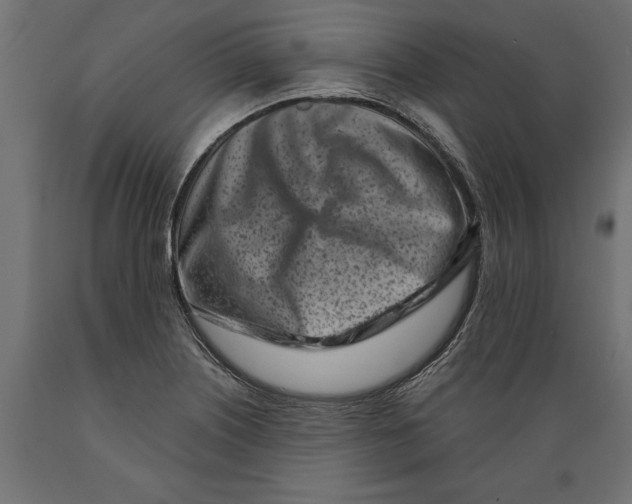 X0000088891226200707061425