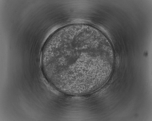 X0000088891227200707061425