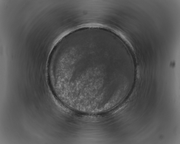 X0000088891229200707061425