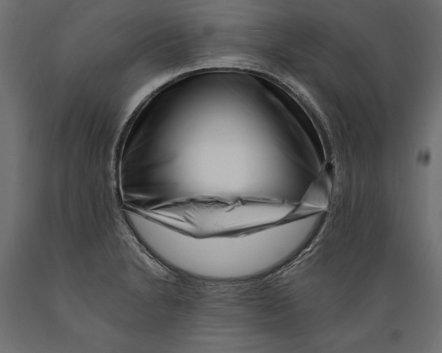 X0000088891230200707061425