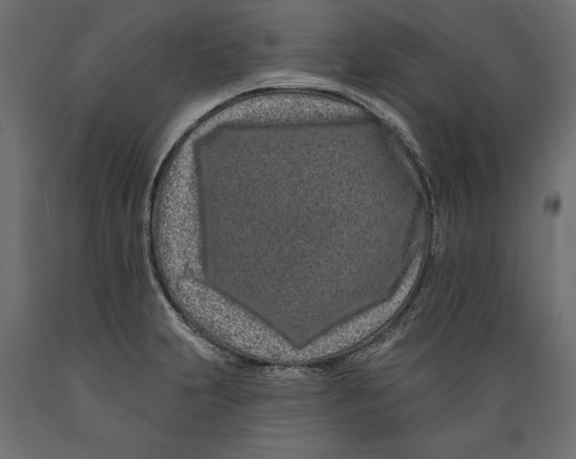 X0000088891231200707061425